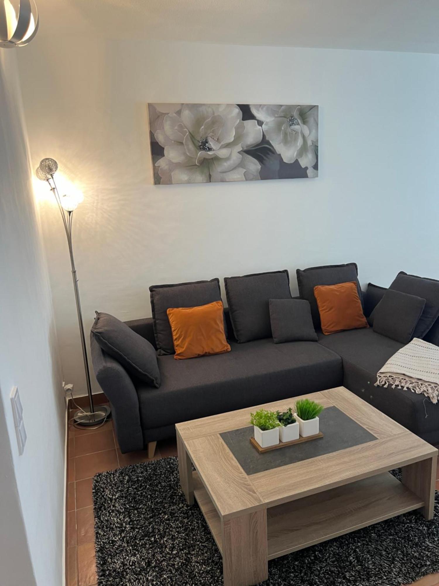 Magnifique Appartement Proche Des Plages Plus Garage Prive Antibes Exteriér fotografie